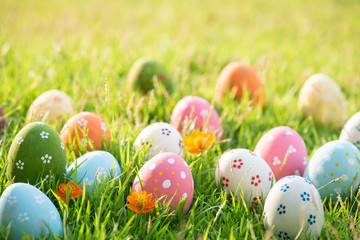 Happy easter!  Closeup Colorful Easter eggs in nest on green grass field during sunset background.