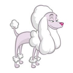 Funny cartoon poodle. Vector illustration