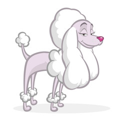 Funny cartoon french poodle. Vector illustration