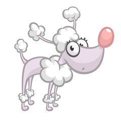 Pretty cartoon french poodle. Vector illustration