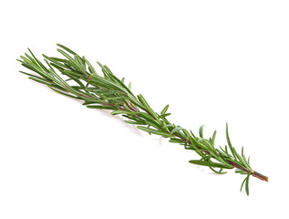 Fototapeta premium Rosemary isolated on white background.