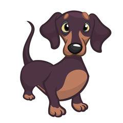 Cartoon Cute Dachshund Dog. Vector Illustration