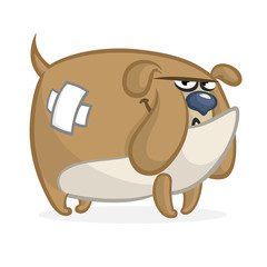 Cartoon angry and funny bulldog illustration. Vector isolated on white