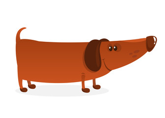 Cartoon Funny Dachshund Dog. Vector Illustration 