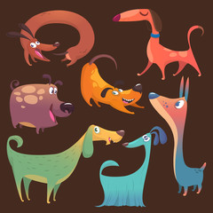 Cartoon funny dogs set. Vector illustrations
