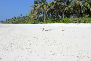 Anchor in a tropical island beach