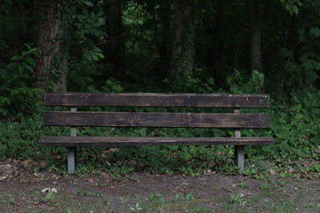 wooden bench in the park