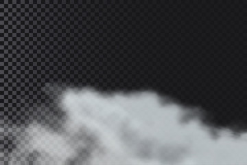 Smoke or fog on transparent background. Realistic clouds of smoke or smog. Vector illustration.