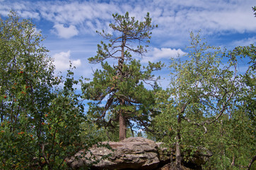 Landscape geomorphological natural monument 
