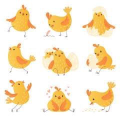 Cartoon chicken. Egg cute yellow little farm birds funny chick vector characters collection. Chicken young yellow, cute character in eggshell illustration