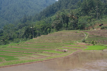 road in the mountains