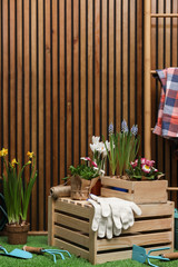 Composition with different gardening tools on artificial grass at wooden wall. Space for text