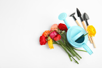 Beautiful flowers and gardening equipment on white background, top view