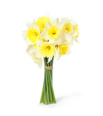 Bouquet of daffodils on white background. Fresh spring flowers