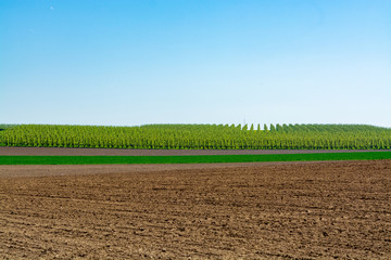 Spring landscape with farmers plowed fields, green grass, fruit trees orchards and blue sky