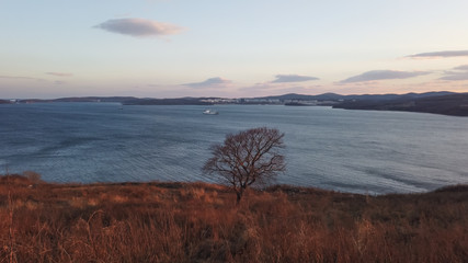 marine landscape with views of the Bosphorus Oriental.