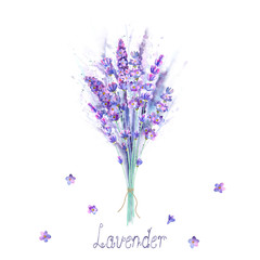 Watercolor lavender bouquet. Lavender flowers, plants and watercolour splashes on white background