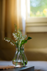 White Trush Flower (Convallaria majalis) o Lily Flower
