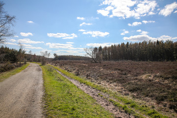 Küstenheiden Cuxhaven