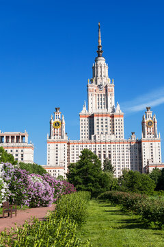 Blooming lilac in the Botanical garden of Moscow state University, Moscow, Russia