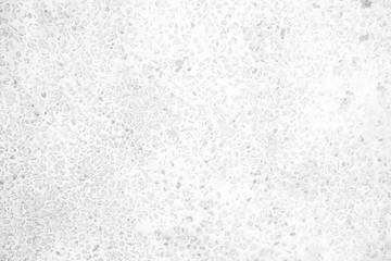 White Grunge Gravel Wall Texture Background.