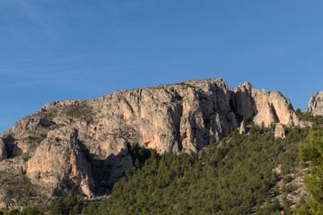 Detalle de montaña rocosa sobre cielo azul  y árboles