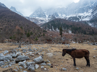 Landscape of Ngawa Tibetan and Qiang Autonomous Prefecture in Sichuan Province, China.