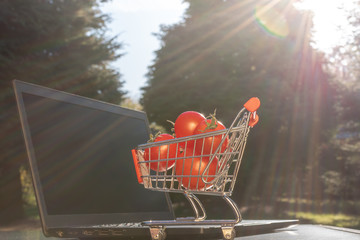 Concept of online grocery shopping. A miniature shopping cart with tomatoes is standing an a...