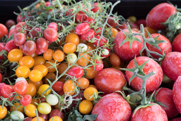 Red fresh organic tomatoes on the farmers market. Healthy vegan food