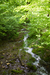 Kleiner Wasserfall im Laubwald