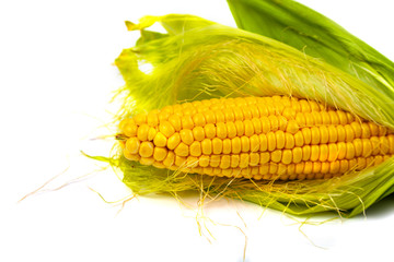 Ripe corn on white background