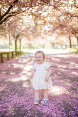 Baby girl in a white dress runs in the park with pink blossoms. Spring.