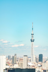 Fototapeta na wymiar TOKYO, JAPAN - November 23, 2018: Tokyo skytree tower building, Asia business concept for real estate and corporate construction - panoramic urban city skyline aerial view under blue sky