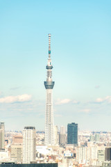Obraz premium TOKYO, JAPAN - November 23, 2018: Tokyo skytree tower building, Asia business concept for real estate and corporate construction - panoramic urban city skyline aerial view under blue sky