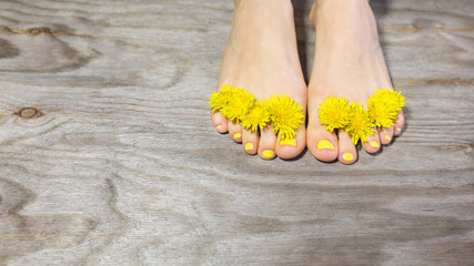 Feet care concept, female feet over wooden background