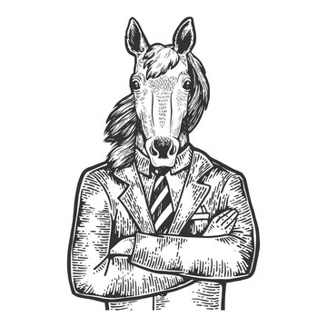 Horse head businessman sketch engraving vector illustration. Scratch board style imitation. Black and white hand drawn image.