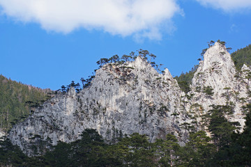 Felswand im Höllental in Niederösterreich