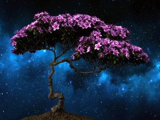 Fototapety  Kwitnące drzewo. ilustracja 3D