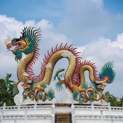 dragon china