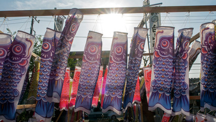 太陽と鯉のぼり