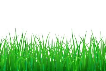 Fototapeta na wymiar Vector horizontal endless border with green grass and copy space. Spring or summer background template for decoration, design, sale, offers, print. Floral illustration isolated on white.