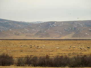 Car window scenery of Qinghai–Tibet railway in Tibet Autonomous Region, China.