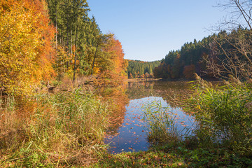 sonnige Herbstlandschaft am Thanninger Weiher, idyllischer Moorsee