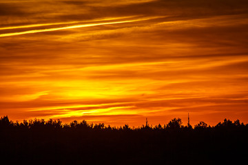 Obraz premium sunset over field