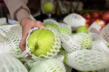 green fresh guava fruit