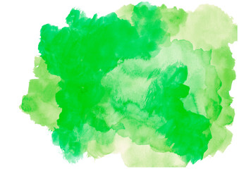 green watercolor gradient isolated background.Watercolor on wet paper
