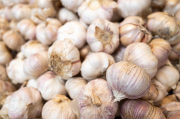 garlic in the traditional marketplace
