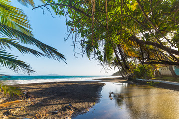 Dark sand and palm trees in Grande Anse beach