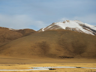 Car window scenery of Qinghai–Tibet railway in Tibet Autonomous Region, China.