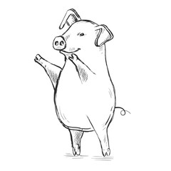 Contour Line Drawing. Funny pig. Hand-drawn. Coloring for kids. - 263946889